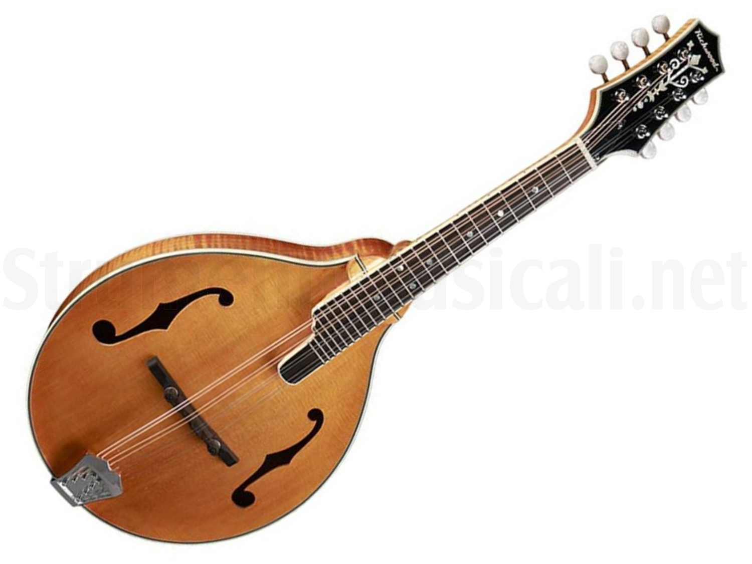 Richwood Guitars RMA-110 A Style