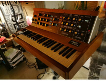 Moog Music Minimoog Model D (2016) (48048)