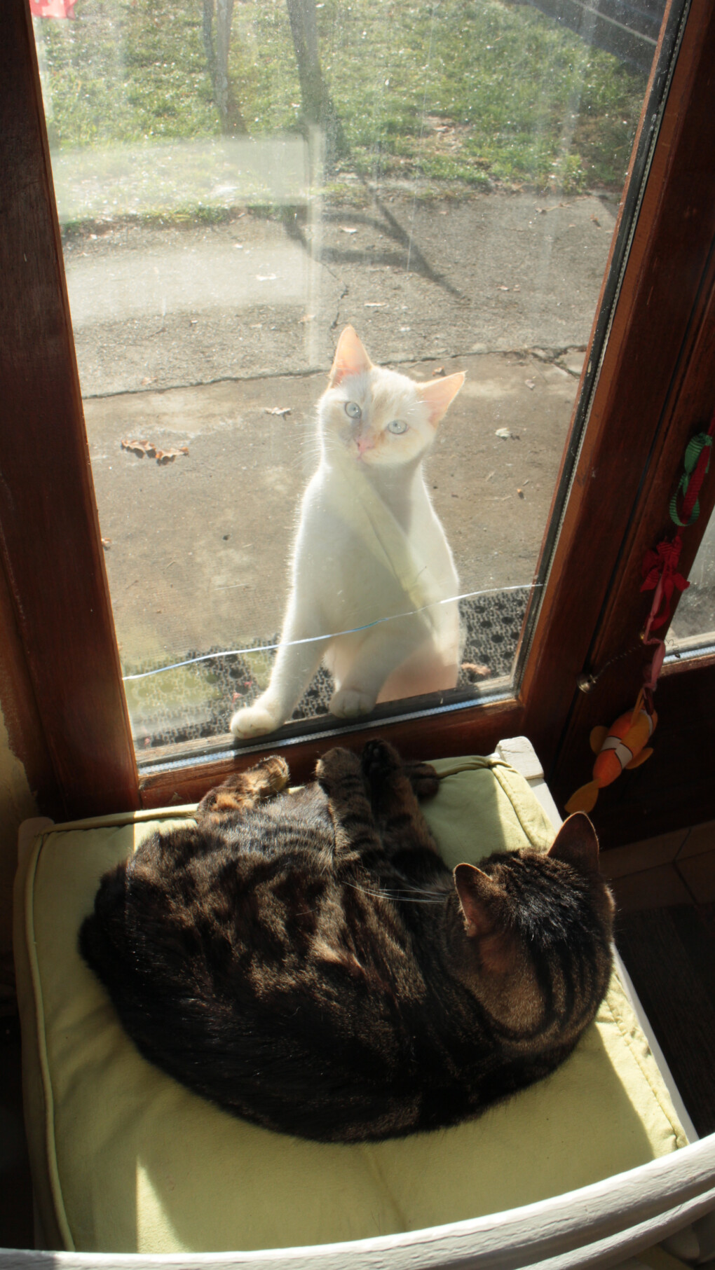 6537533.jpg 6537533.jpg