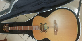 vends takamine EN-20