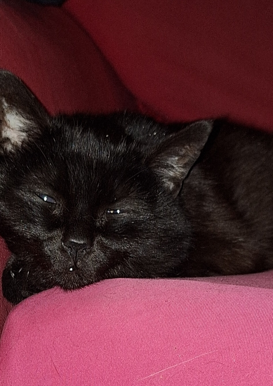 6538099.jpg 6538099.jpg