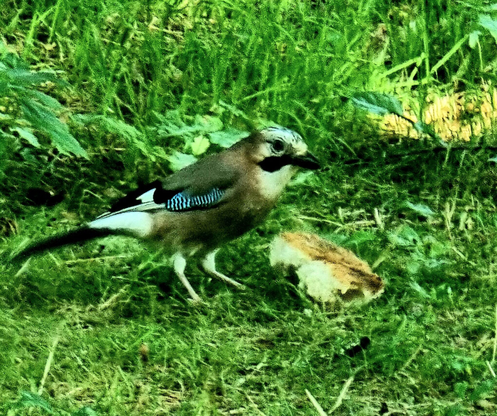 6538731.jpg 6538731.jpg