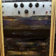 ezP-1A Clone ezP-1A Clone
