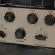 ezP-1A Clone ezP-1A Clone