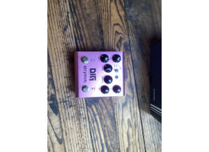 Strymon DIG (2163)