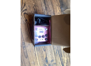 Strymon DIG (28837)
