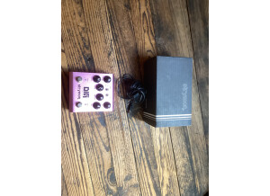 Strymon DIG (95577)