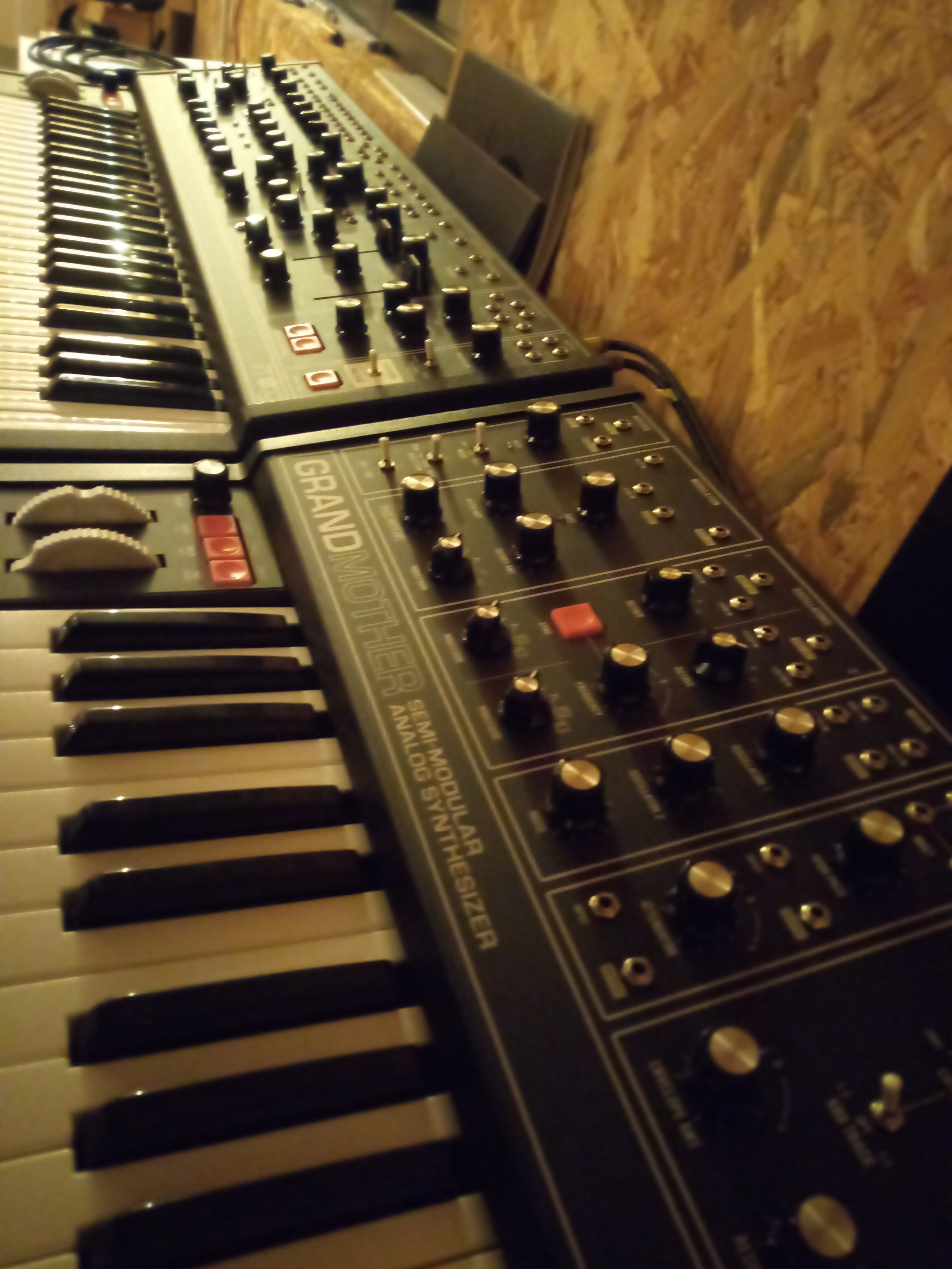 Échange matriarch et grand mother dark serie contre minimoog model d 