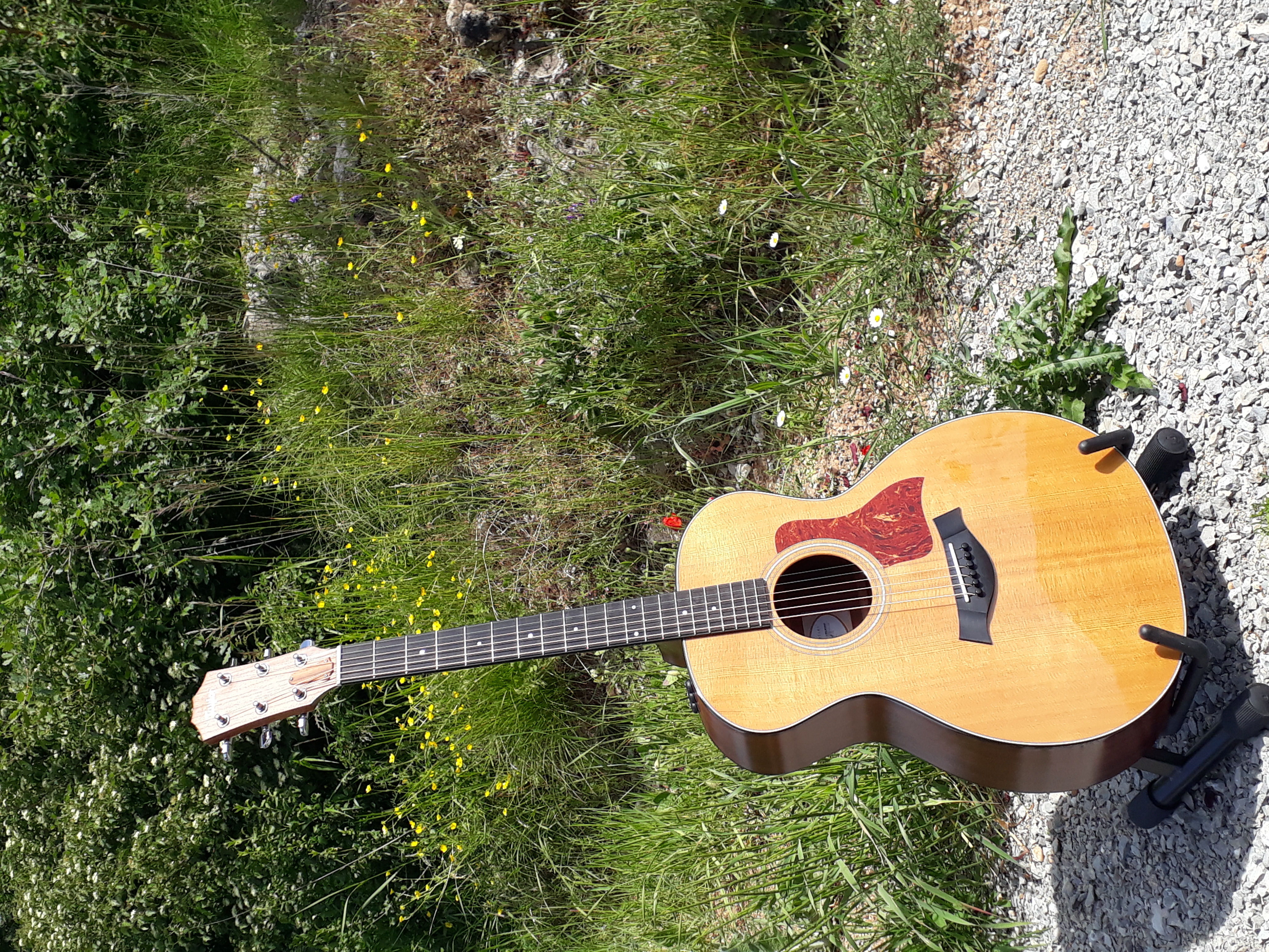 GUITARE FOLK TAYLOR 314e