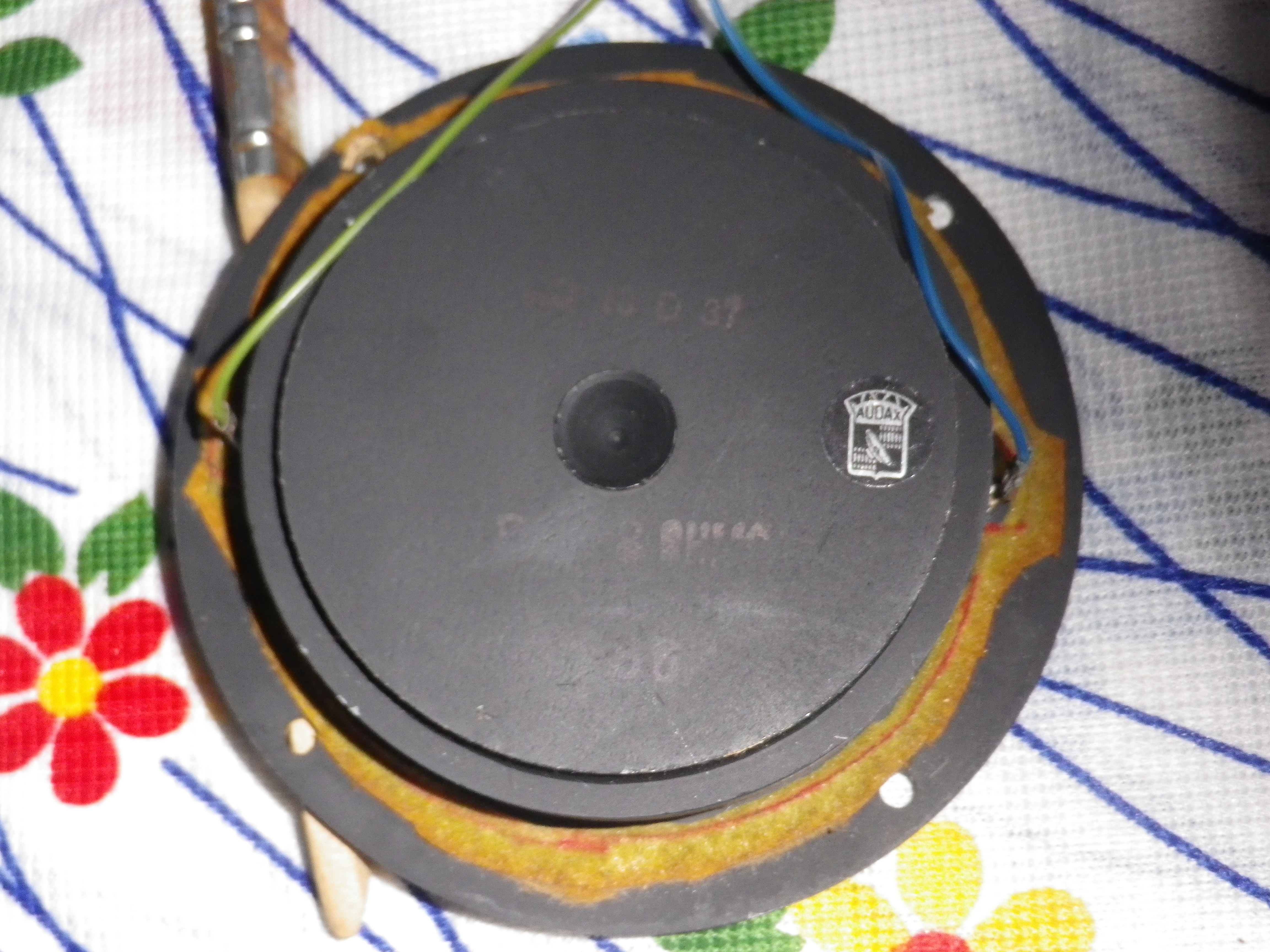IMGP2275