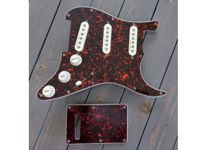 Fender Vintage Noiseless Stratocaster Pickups (60970)