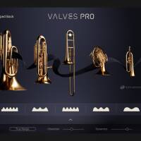 Instrument VST Valves Pro (Native Instruments) - Licence officielle