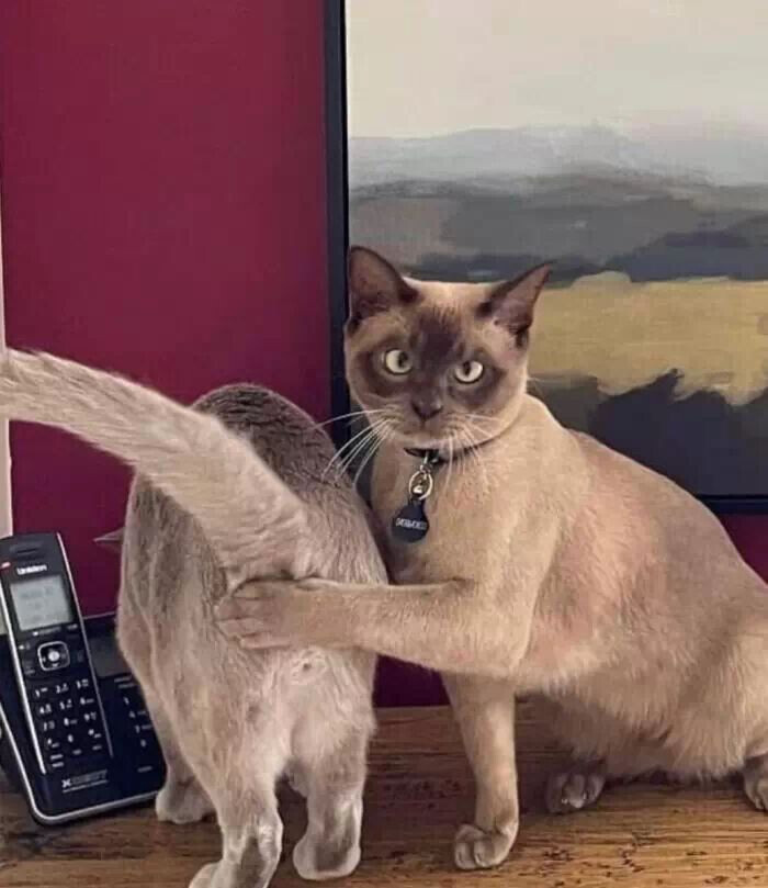 6543765.jpg 6543765.jpg