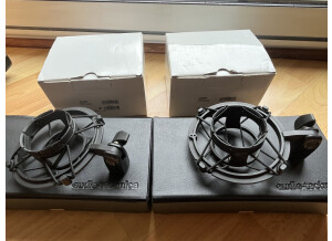Audio-Technica AT4040 (2228)