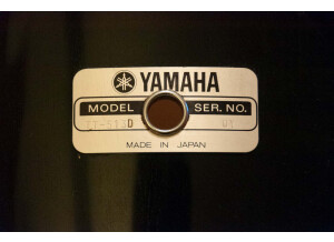 Yamaha YD Series (2049)