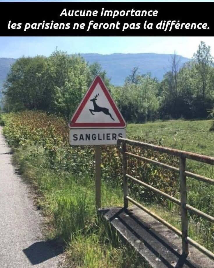 6544433.jpg 6544433.jpg