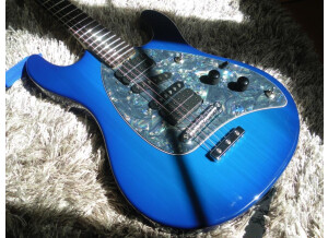 Music Man Steve Morse (88139)