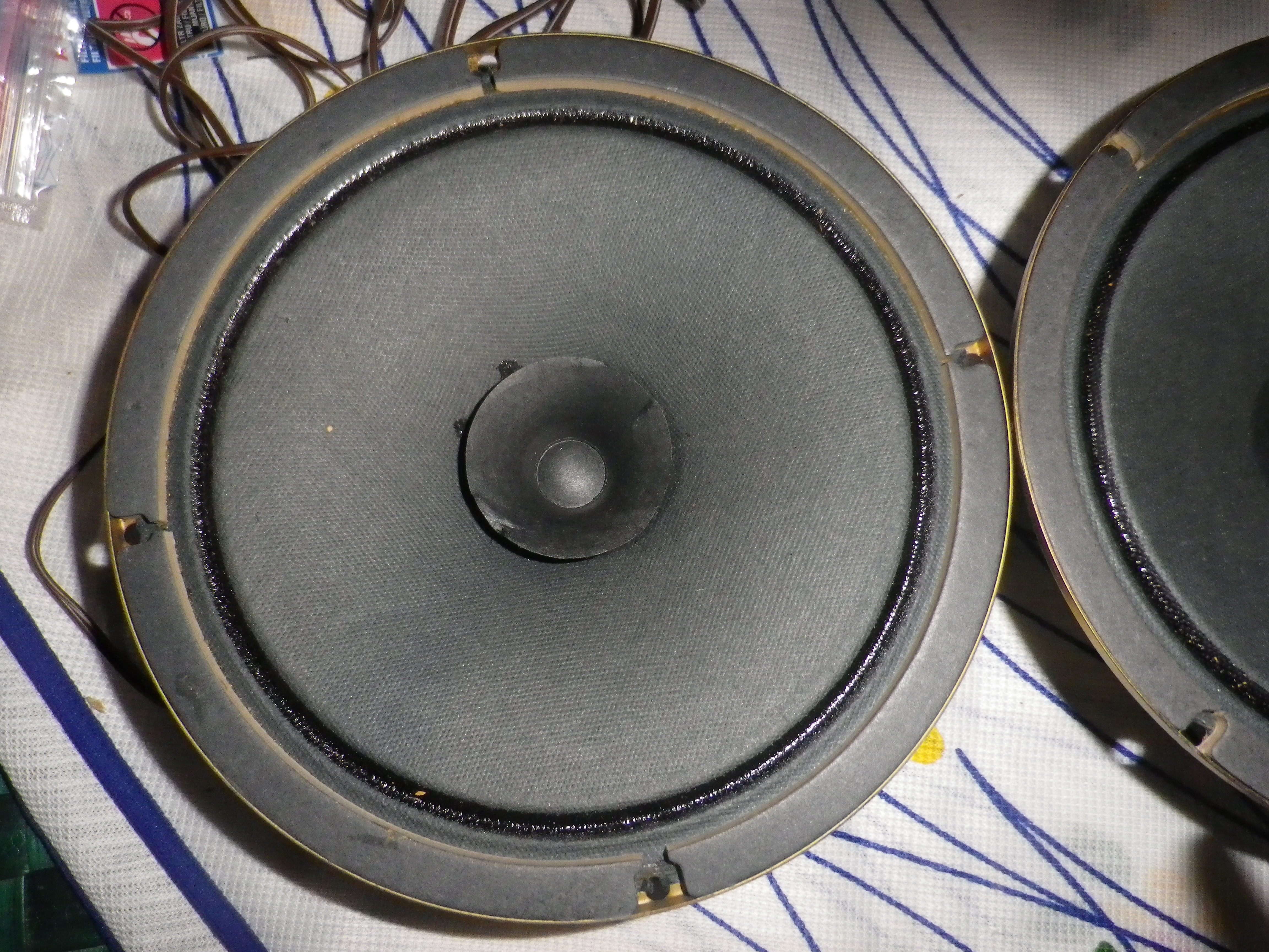 IMGP2279