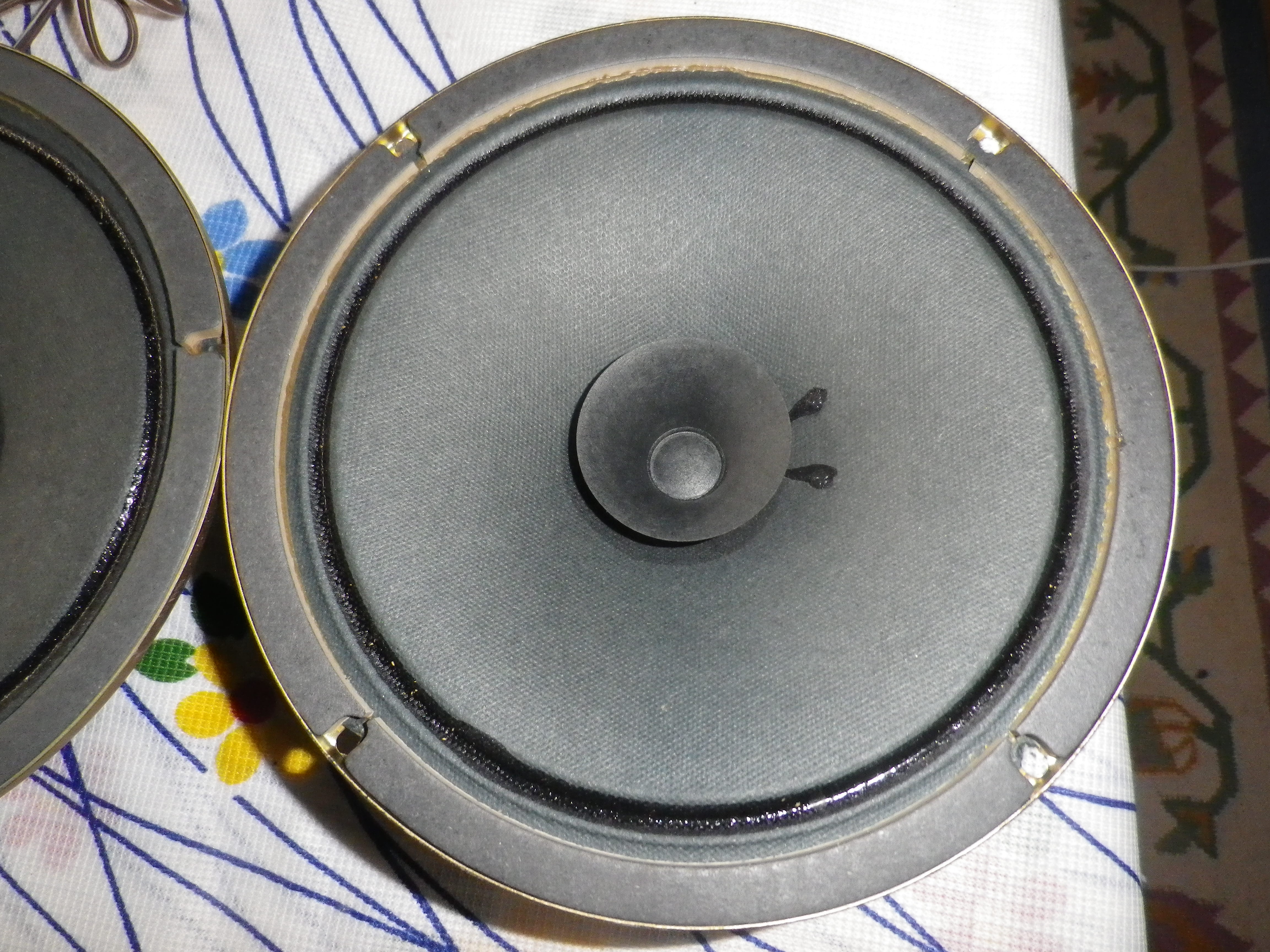 IMGP2280