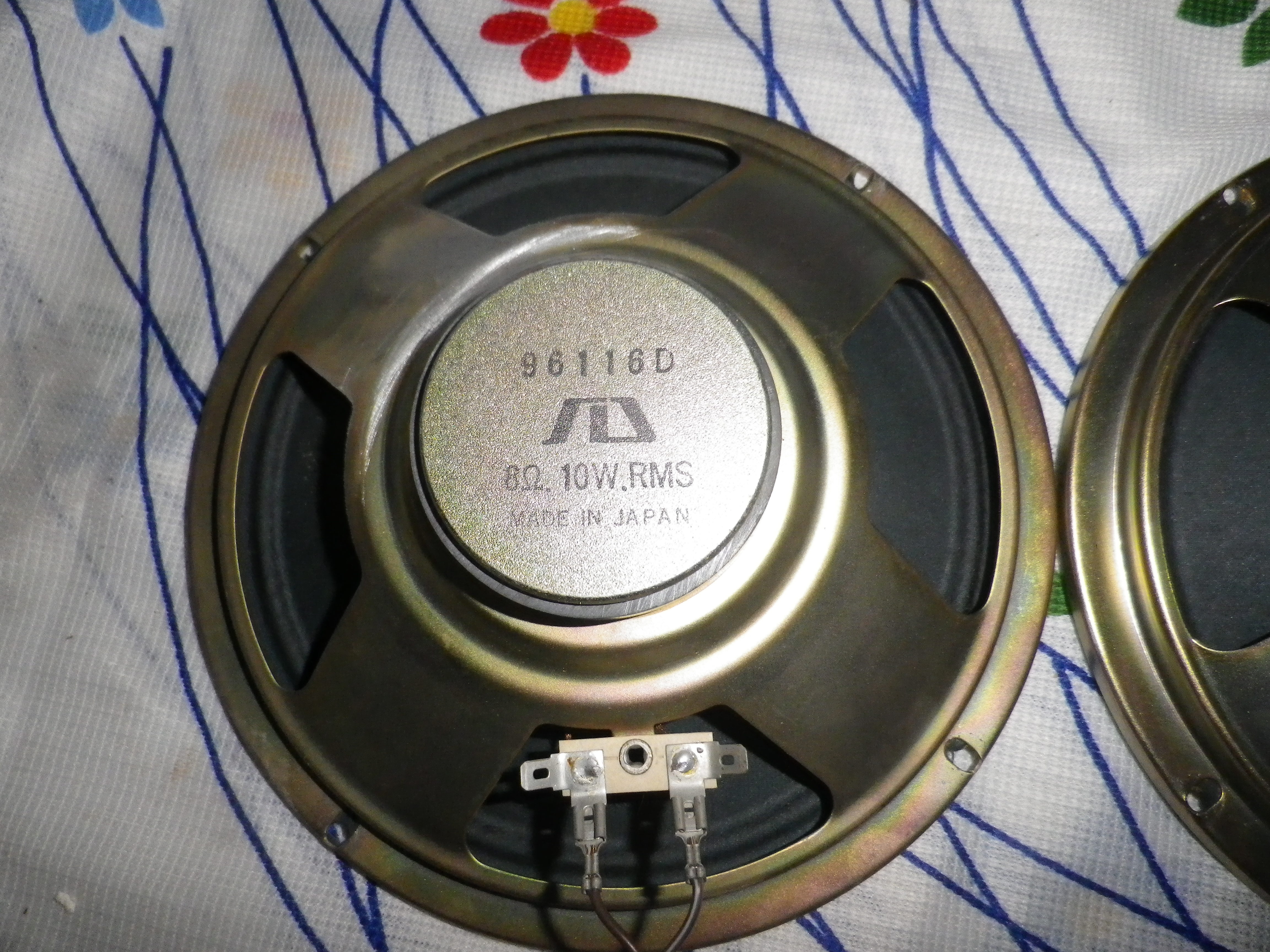 IMGP2289