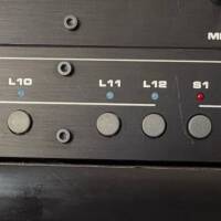 Mark L CUSTOM LS 12/2 Audio Looper