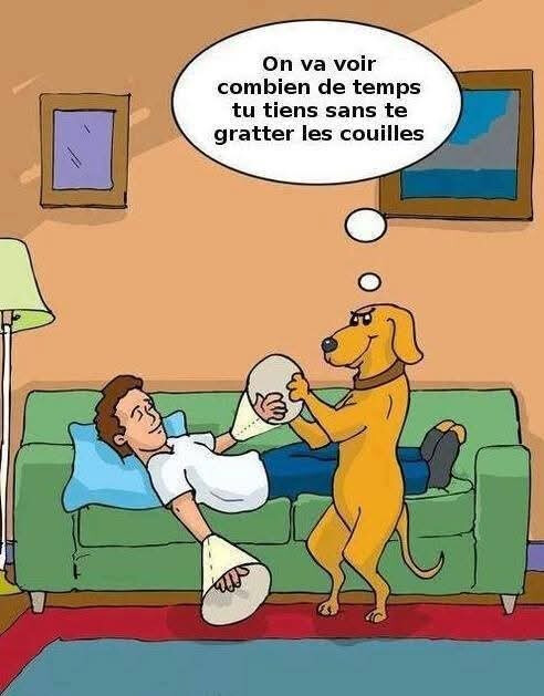 6546608.jpg 6546608.jpg