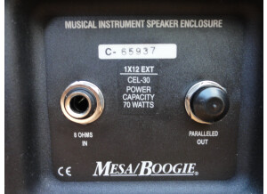 Mesa Boogie Mini Recto 1x12 Slant (37185)