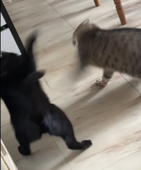 6547460.jpeg 6547460.jpeg