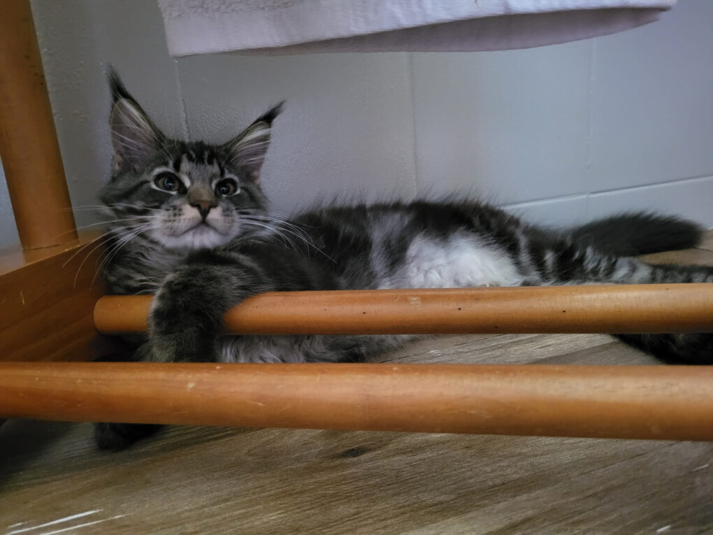 6548877.jpg 6548877.jpg