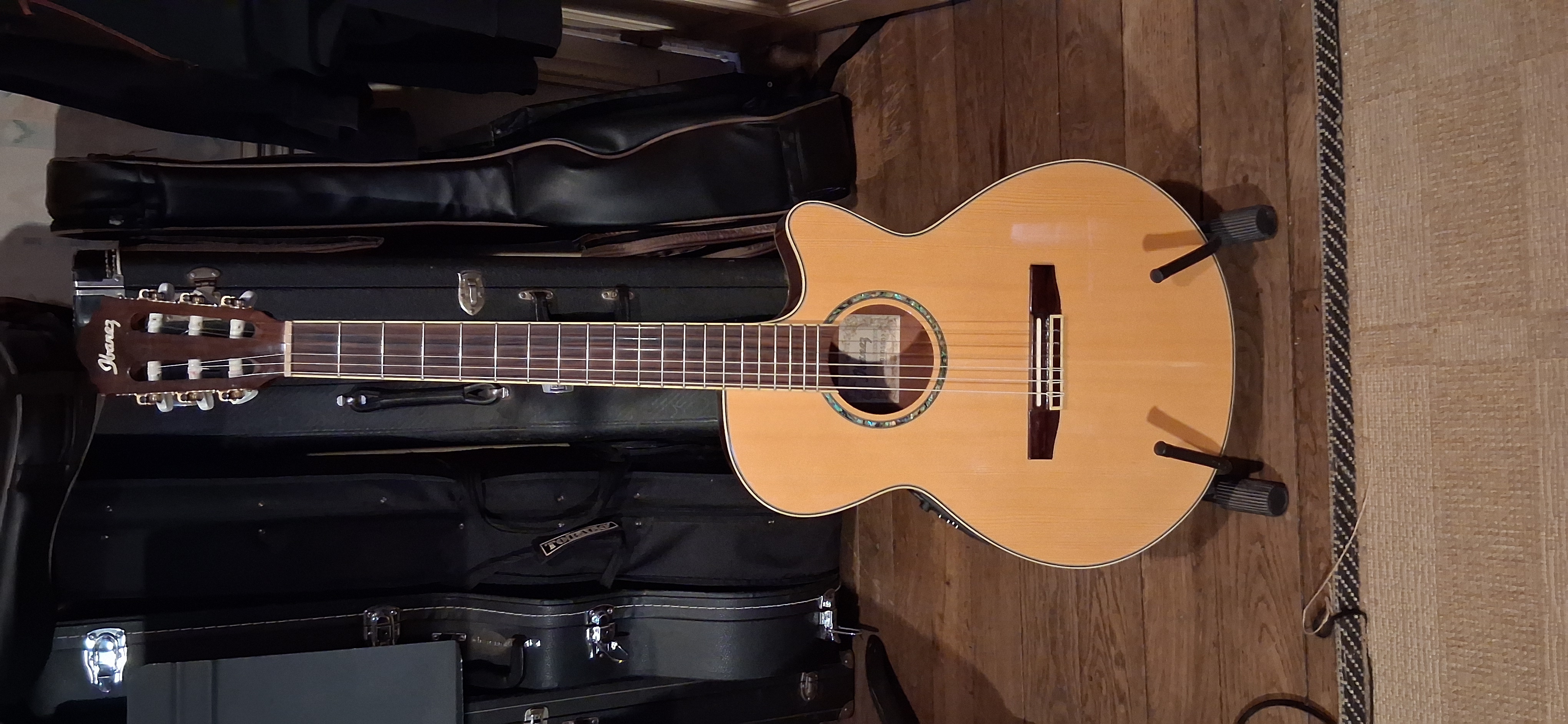 Vends guitare électro acoustique Ibanez AEG 10 NE