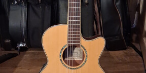 Vends guitare électro acoustique Ibanez AEG 10 NE