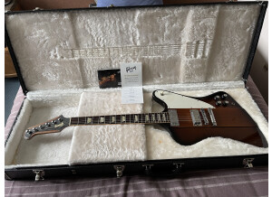 Gibson Firebird V (2010) (32352)