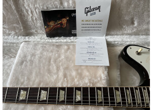 Gibson Firebird V (2010) (9077)