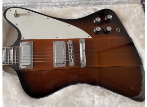 Gibson Firebird V (2010) (38288)