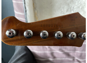 Gibson Firebird V (2010) (957)
