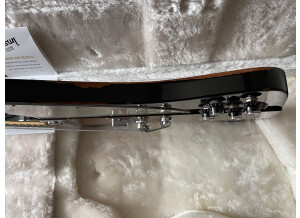 Gibson Firebird V (2010) (81413)