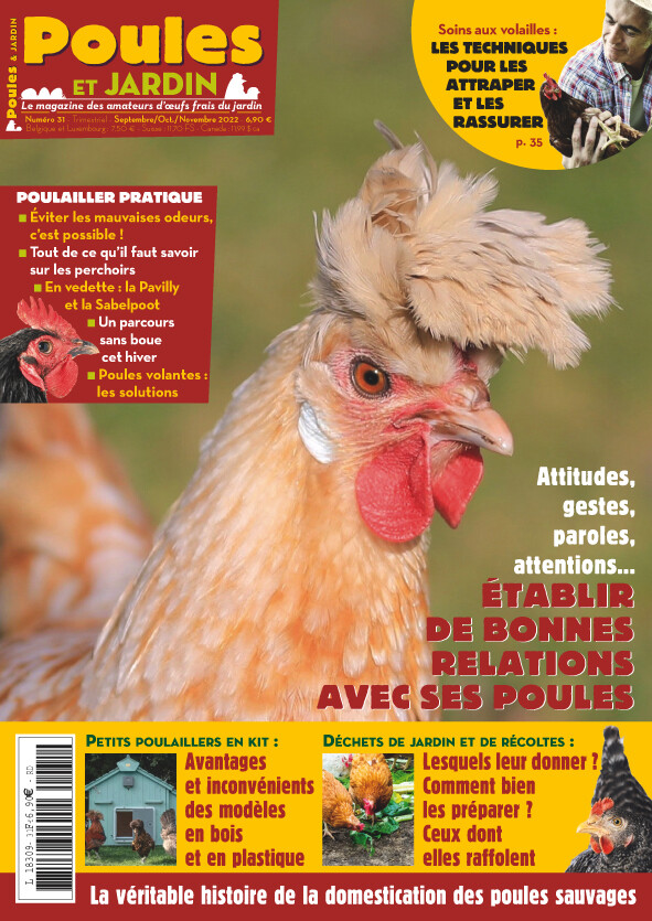 6548999.jpg 6548999.jpg