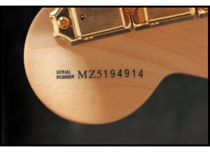 Fender Deluxe Series - Players Strat