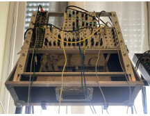 Random Source Serge Variable Slope Filter (VCFS) (18223)