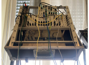 Random Source Serge Wave Multipliers (VCM) (13586)