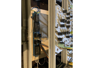 Random Source Serge Wave Multipliers (VCM) (76553)