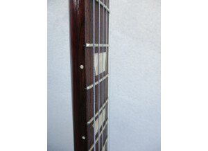 Gibson Les Paul Studio (49766)