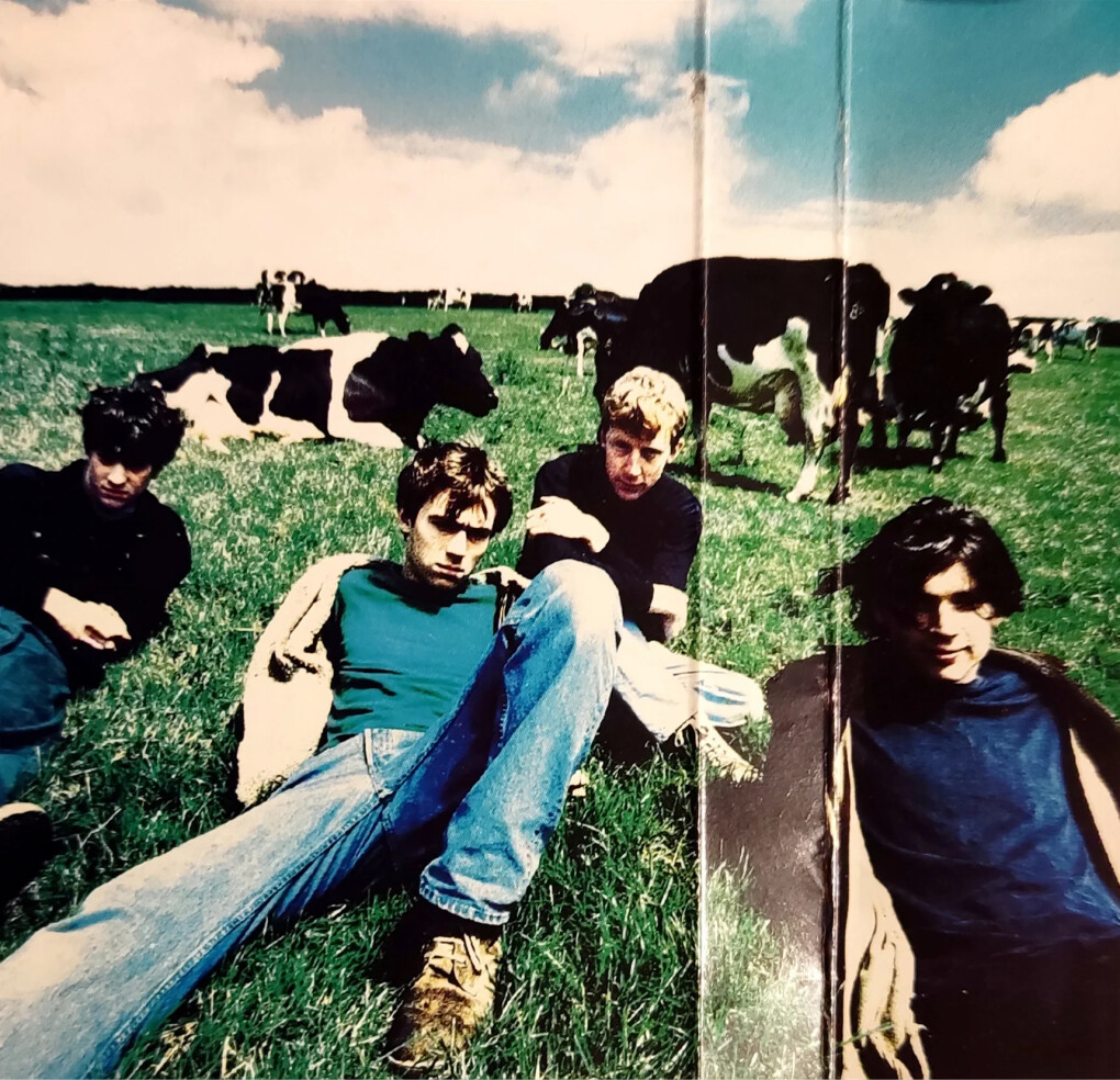 6551013.jpg 6551013.jpg