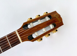 Gibson Chet Atkins CE/CEC (5436)