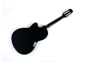 Gibson Chet Atkins CE/CEC (39619)