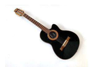 Gibson Chet Atkins CE/CEC (17662)