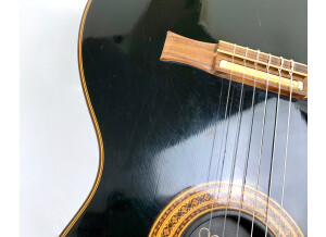 Gibson Chet Atkins CE/CEC (16208)