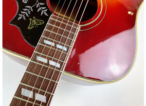 Gibson Hummingbird (44318)