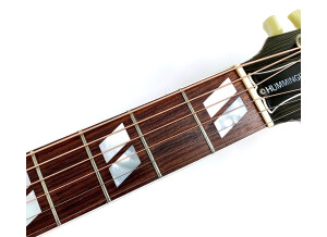 Gibson Hummingbird (47431)