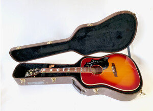 Gibson Hummingbird (37501)